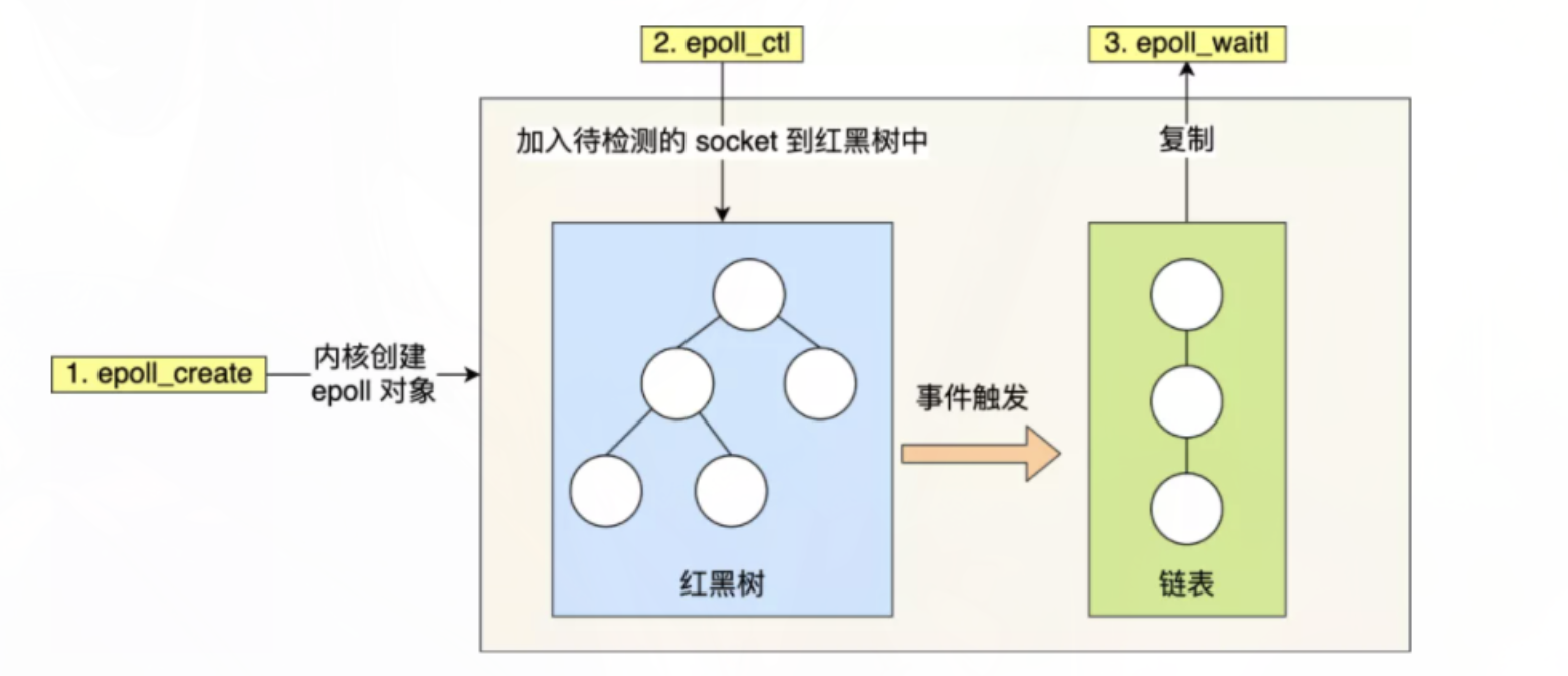 image-20240130145523446